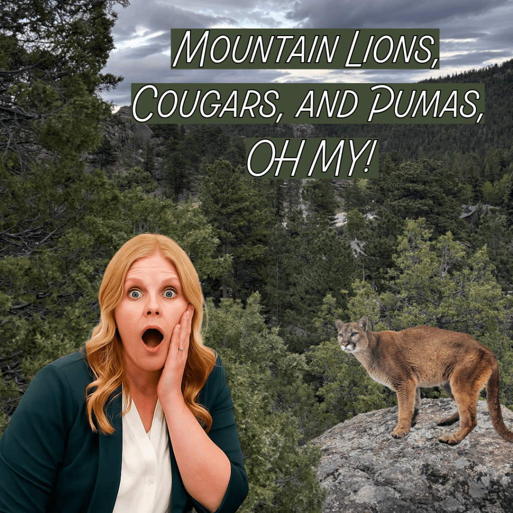 Mountain Lions and Cougars and Pumas. Oh&nbsp;my!